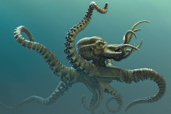 Kraken фейк сайт