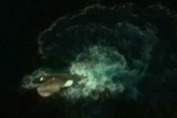 Darknet ссылка кракен kraken014 com